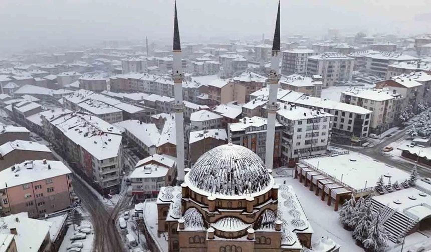 Yerel Gelişmeler ve Beklentiler